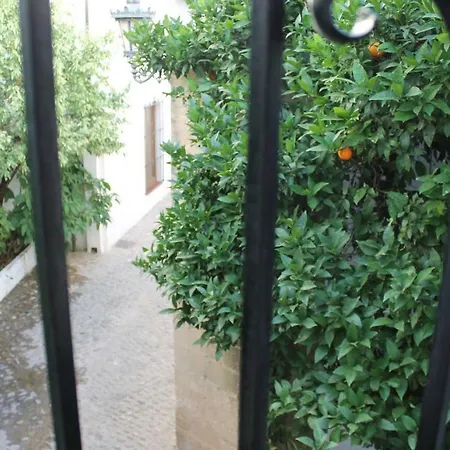 La Casita De La Ciudad Casa vacanze Ronda